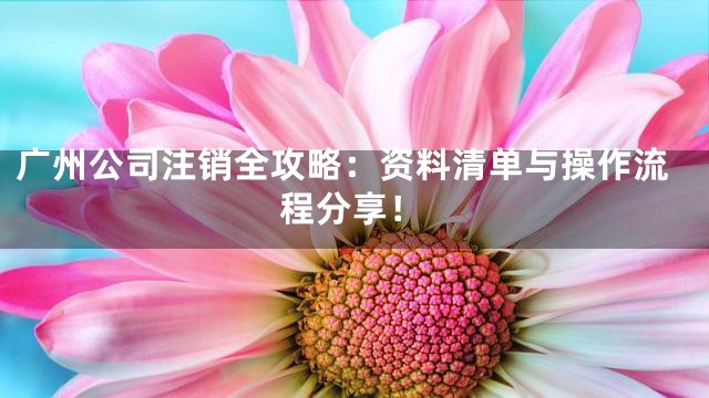 广州公司注销全攻略：资料清单与操作流程分享！
