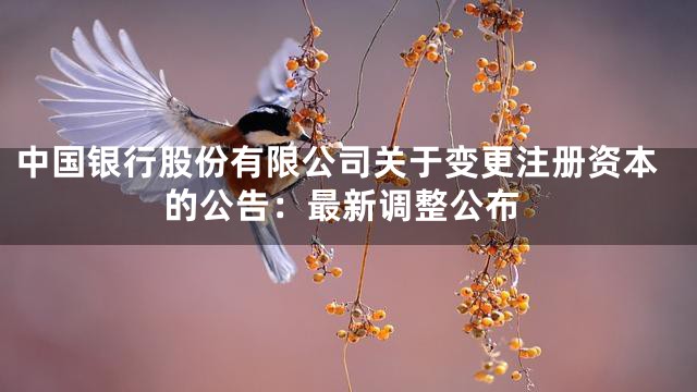 中国银行股份有限公司关于变更注册资本的公告：最新调整公布