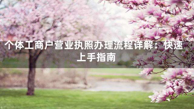 个体工商户营业执照办理流程详解：快速上手指南