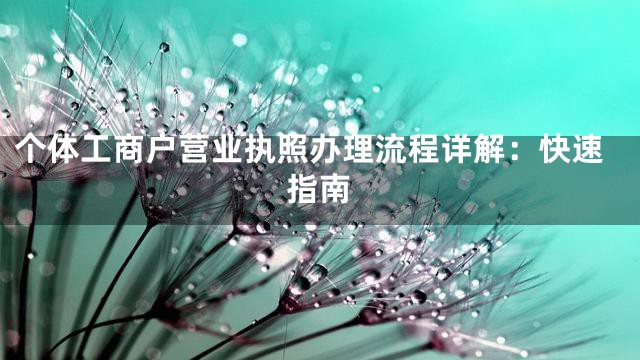 个体工商户营业执照办理流程详解：快速指南