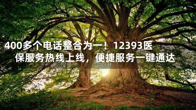 400多个电话整合为一！12393医保服务热线上线，便捷服务一键通达