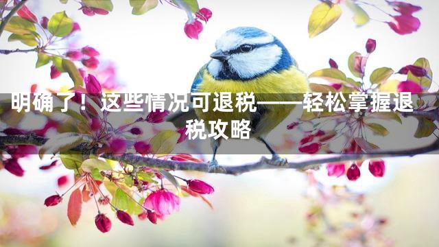 明确了！这些情况可退税——轻松掌握退税攻略
