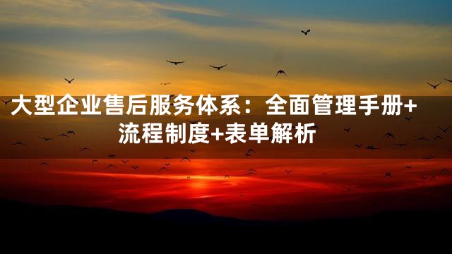 大型企业售后服务体系：全面管理手册+流程制度+表单解析