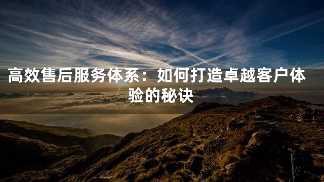 高效售后服务体系：如何打造卓越客户体验的秘诀