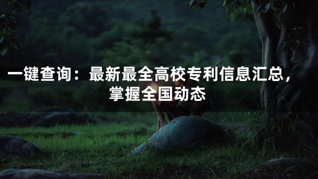 一键查询：最新最全高校专利信息汇总，掌握全国动态