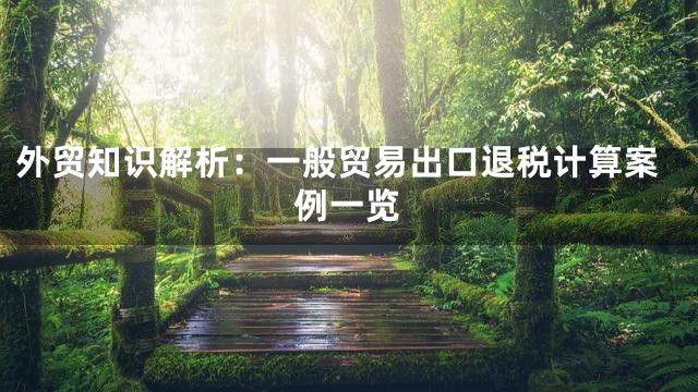 外贸知识解析：一般贸易出口退税计算案例一览