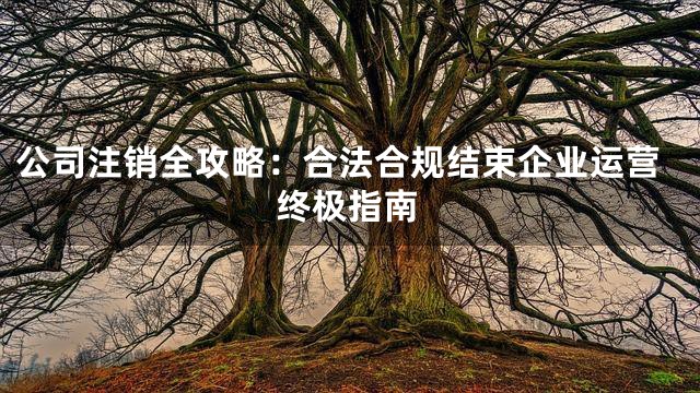 公司注销全攻略：合法合规结束企业运营终极指南