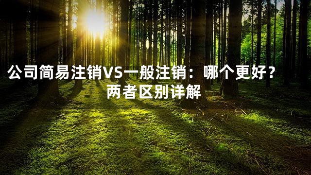 公司简易注销VS一般注销：哪个更好？两者区别详解