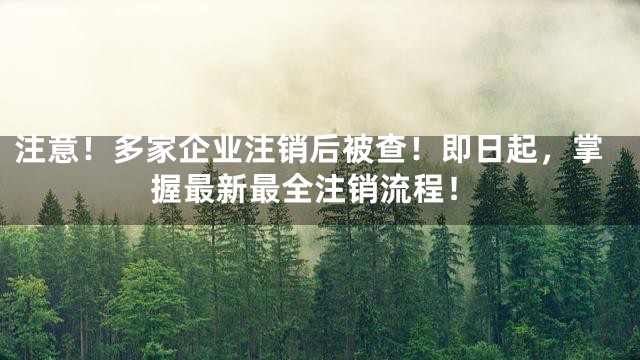 注意！多家企业注销后被查！即日起，掌握最新最全注销流程！