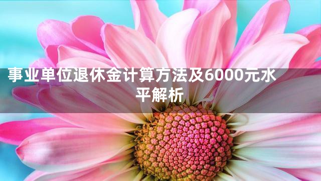 事业单位退休金计算方法及6000元水平解析