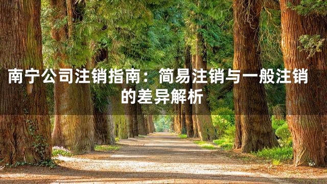 南宁公司注销指南：简易注销与一般注销的差异解析