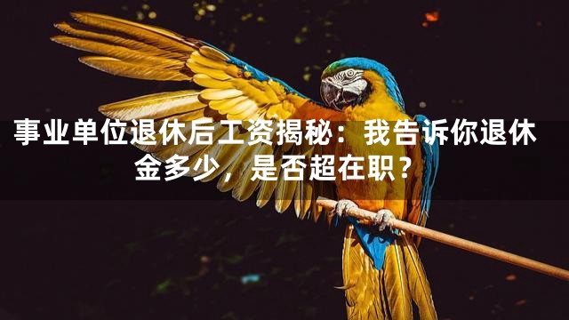 事业单位退休后工资揭秘：我告诉你退休金多少，是否超在职？
