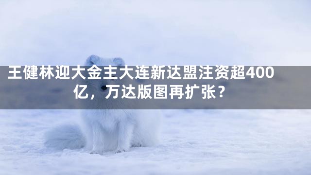 王健林迎大金主大连新达盟注资超400亿，万达版图再扩张？
