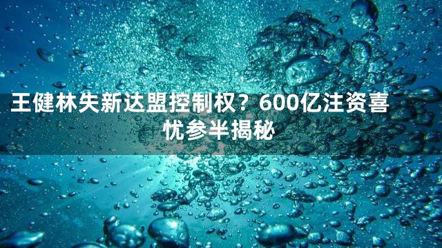 王健林失新达盟控制权？600亿注资喜忧参半揭秘