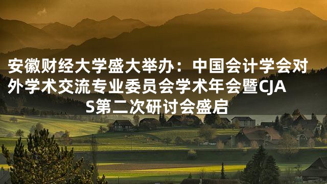 安徽财经大学盛大举办：中国会计学会对外学术交流专业委员会学术年会暨CJAS第二次研讨会盛启