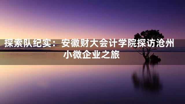 探索队纪实：安徽财大会计学院探访沧州小微企业之旅