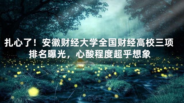 扎心了！安徽财经大学全国财经高校三项排名曝光，心酸程度超乎想象
