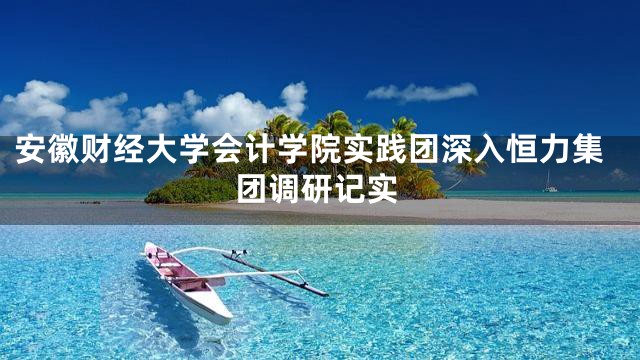 安徽财经大学会计学院实践团深入恒力集团调研记实