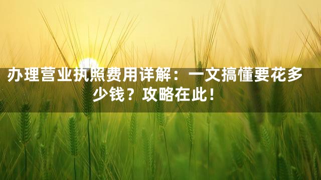 办理营业执照费用详解：一文搞懂要花多少钱？攻略在此！