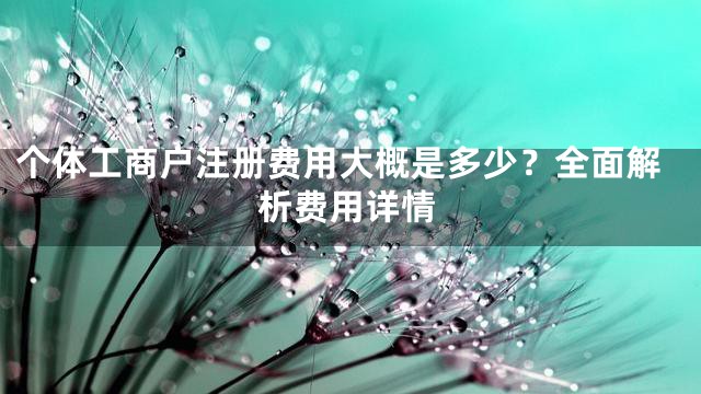 个体工商户注册费用大概是多少？全面解析费用详情