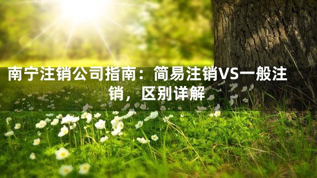 南宁注销公司指南：简易注销VS一般注销，区别详解