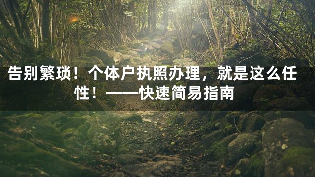 告别繁琐！个体户执照办理，就是这么任性！——快速简易指南