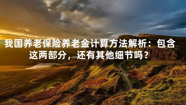 我国养老保险养老金计算方法解析：包含这两部分，还有其他细节吗？
