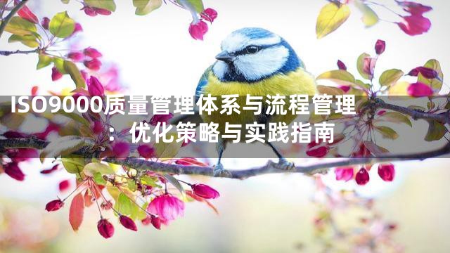 ISO9000质量管理体系与流程管理：优化策略与实践指南