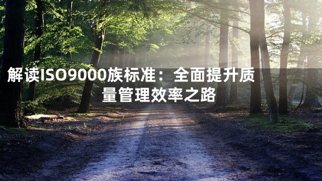 解读ISO9000族标准：全面提升质量管理效率之路