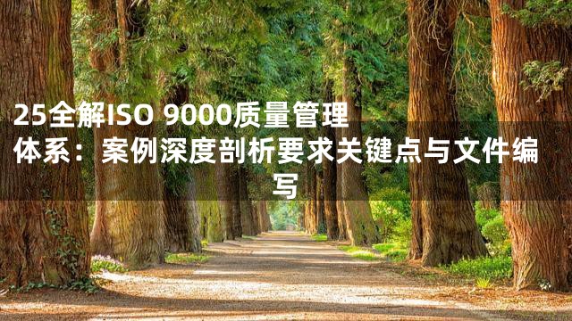 25

全解ISO 9000质量管理体系：案例深度剖析要求关键点与文件编写