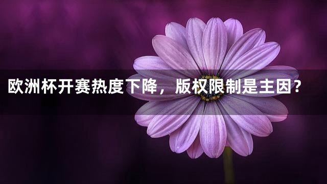 欧洲杯开赛热度下降，版权限制是主因？