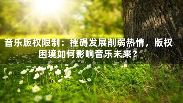 音乐版权限制：挫碍发展削弱热情，版权困境如何影响音乐未来？