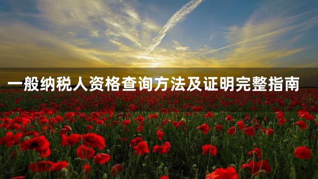 一般纳税人资格查询方法及证明完整指南