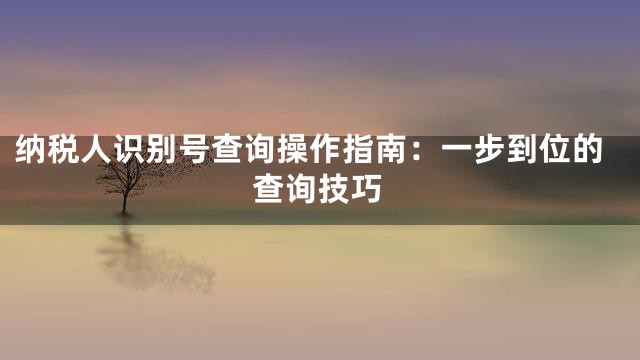 纳税人识别号查询操作指南：一步到位的查询技巧