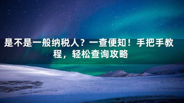 是不是一般纳税人？一查便知！手把手教程，轻松查询攻略