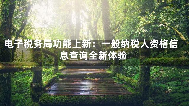 电子税务局功能上新：一般纳税人资格信息查询全新体验