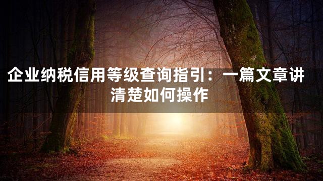 企业纳税信用等级查询指引：一篇文章讲清楚如何操作