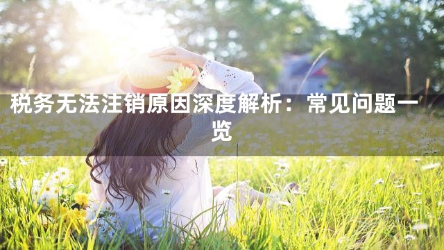 税务无法注销原因深度解析：常见问题一览
