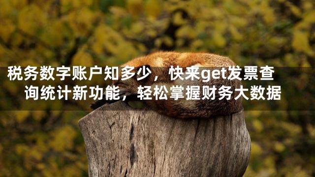税务数字账户知多少，快来get发票查询统计新功能，轻松掌握财务大数据