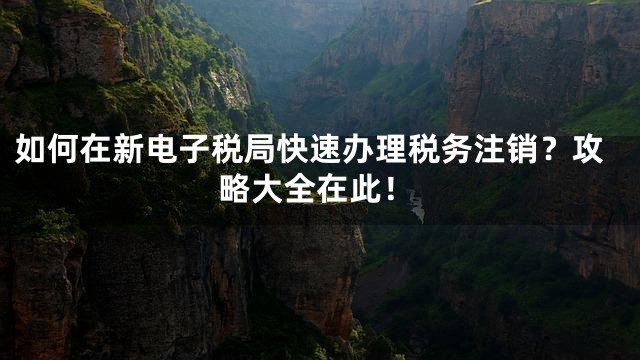 如何在新电子税局快速办理税务注销？攻略大全在此！