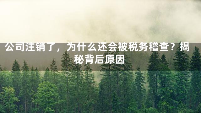 公司注销了，为什么还会被税务稽查？揭秘背后原因