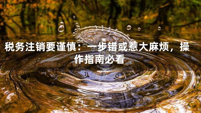 税务注销要谨慎：一步错或惹大麻烦，操作指南必看