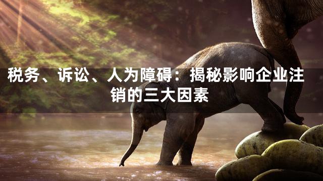 税务、诉讼、人为障碍：揭秘影响企业注销的三大因素