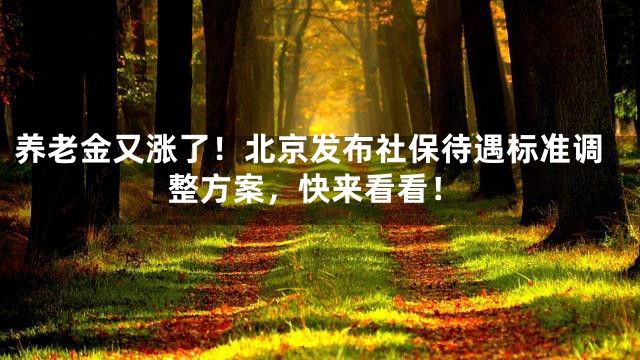 养老金又涨了！北京发布社保待遇标准调整方案，快来看看！
