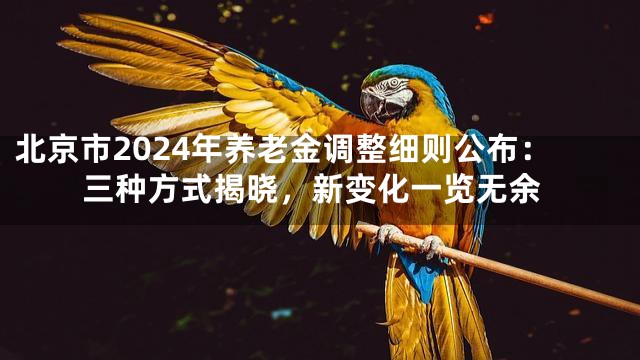 北京市2024年养老金调整细则公布：三种方式揭晓，新变化一览无余
