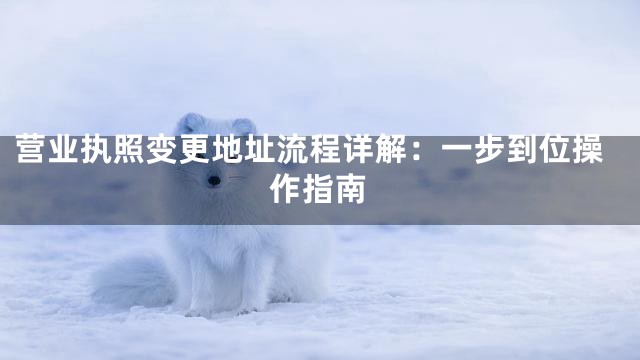 营业执照变更地址流程详解：一步到位操作指南