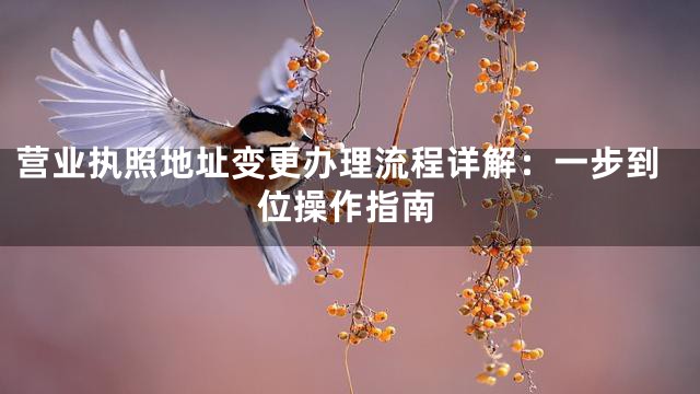 营业执照地址变更办理流程详解：一步到位操作指南