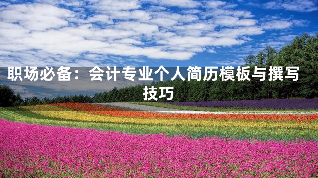 职场必备：会计专业个人简历模板与撰写技巧