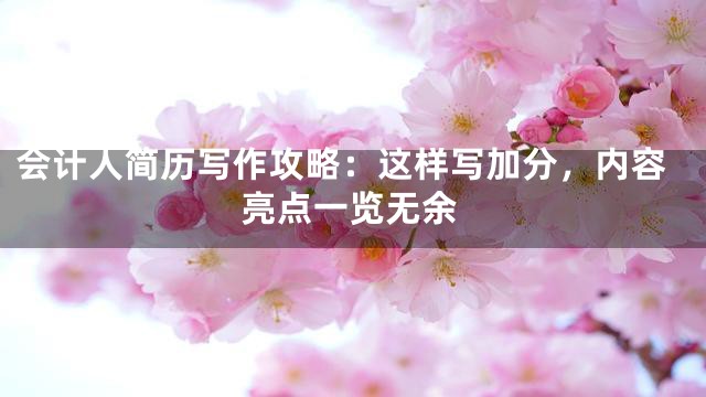 会计人简历写作攻略：这样写加分，内容亮点一览无余