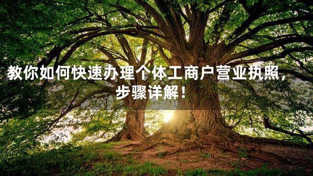 教你如何快速办理个体工商户营业执照，步骤详解！